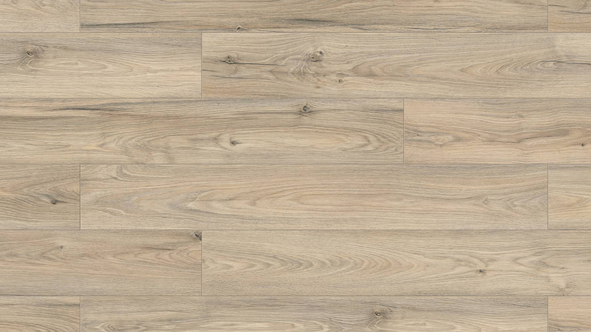 Laminat K791 Hrast Light Fairwolf MO.RE, 12 mm